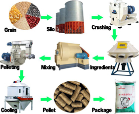 Feed Production Line