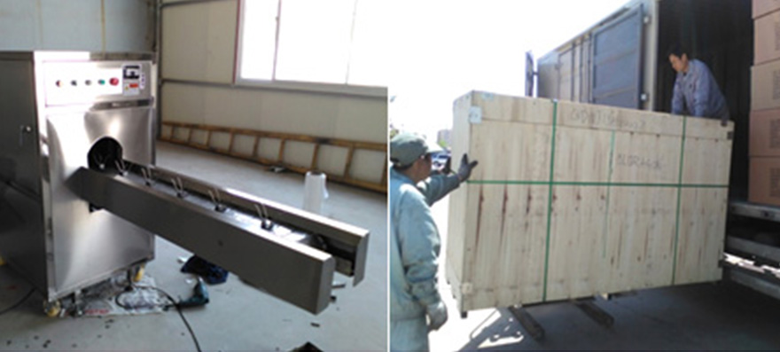 Bidragon Delivered Onion Processing Equipment to Poland and Korea