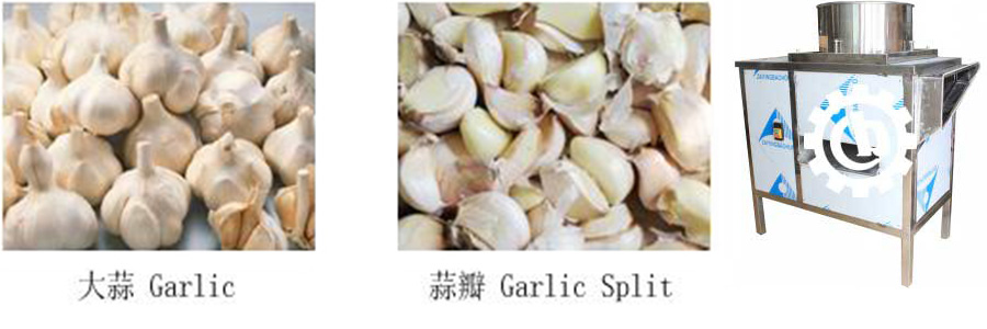Kitchen and Restaurant Garlic Separating Machine