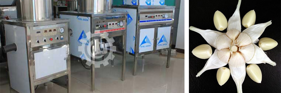 Garlic Peeling Machine for Restaurant