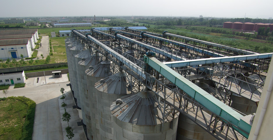 steel-silo-development