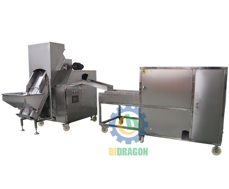 Onion Processing Equipment Delivered to Poland and Korea