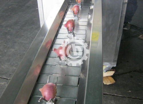 Onion Peeling and Top Tail Cutting Machine Running In India