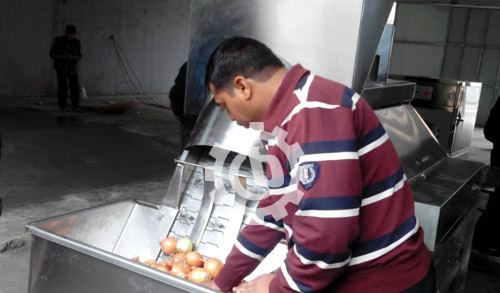 Onion Peeling and Top Tail Cutting Machine Running In India